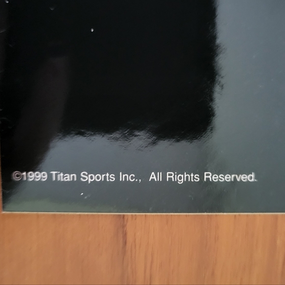 Vtg 1999 Offical World Wrestling Federation Rattlesnake Bones Stone Cold Decal - Picture 3 of 4